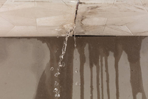 Professional Water Damage Repair technician working in Carrollton, VA